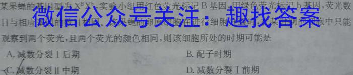 安徽省2023-2024学年九年级第一学期阶段练习四数学