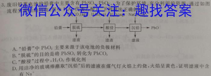 九师联盟2024—2023学年高二下学期6月摸底考试（L）化学