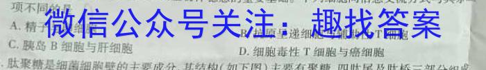 ［广东大联考］广东省2024届高三11月联考数学