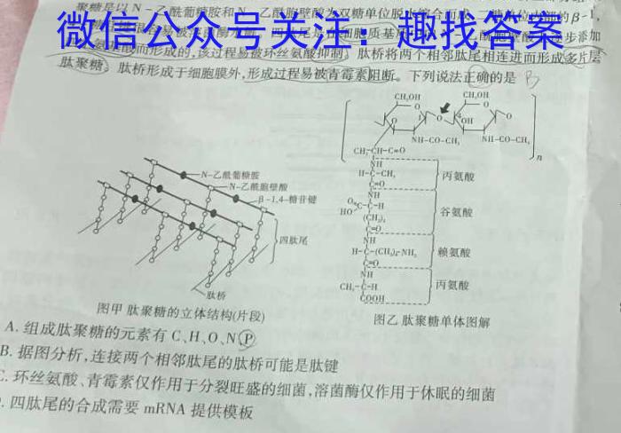 九师联盟 2024届高三2月开学考(湖北)试题数学