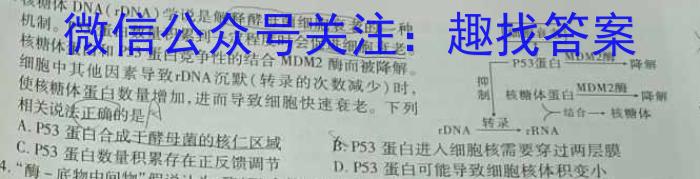 [高考仿真模拟]2023届九师联盟高三年级5月质量检测（XG）生物