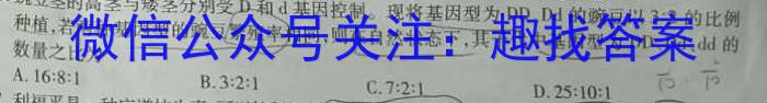 思而行联考·2024年省际名校联考一（启航卷）数学