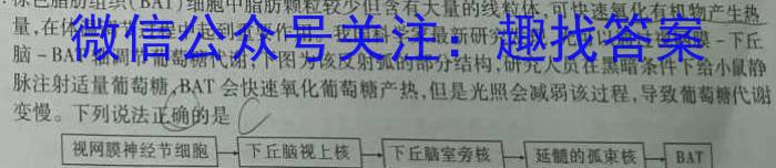 陕西省2023-2024学年第二学期九年级第一次模拟考试数学