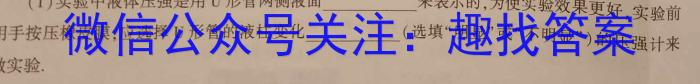 安徽省六安市金寨县2022-2023学年度七年级第二学期期末质量监测物理.