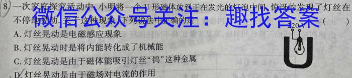 2023届安徽省中考联盟压轴卷(三个黑三角)l物理