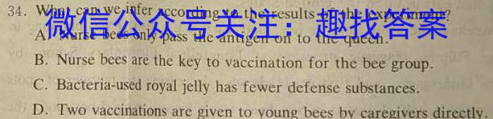 安徽省2024~2023学年度七年级下学期期末综合评估 8L AH英语