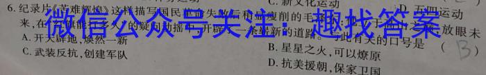 2023年龙泉中学高考高三年级下学期模拟考试历史