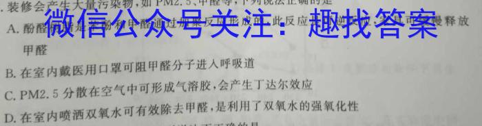 2023年河北省初中毕业生升学文化课考试 麒麟卷(二)化学