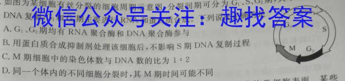 2023年河北省初中毕业升学仿真模拟考试（二）生物