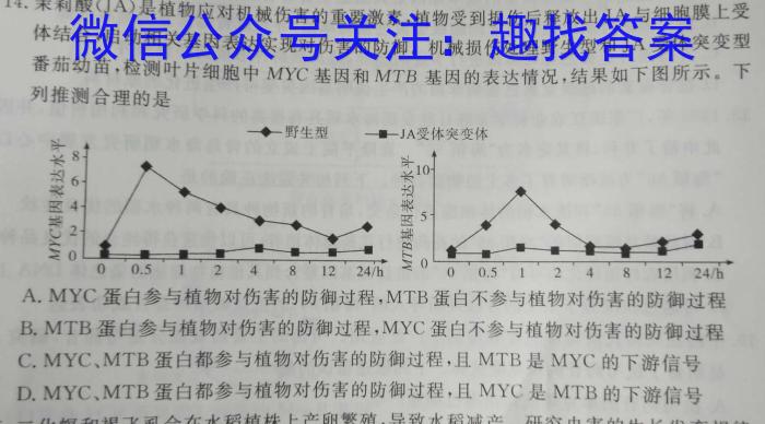 安徽鼎尖教育 2024届高三5月考试数学