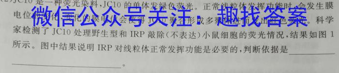 [六市二诊]四川省2024年高中2021级第二次诊断性考试数学