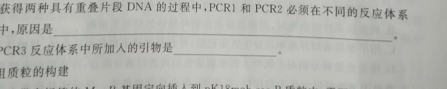 2024届名师原创分科模拟 新S4(六)数学考试