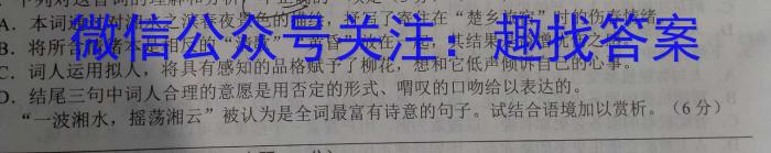 中考模拟压轴系列 2023年河北省中考适应性模拟检测(夺冠二)语文