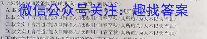 安徽省C20教育联盟2023年中考最后典题卷(一)语文