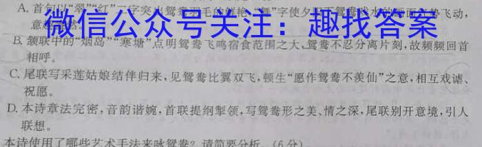 贵州省黔东南州2022-2023学年度高二第二学期期末文化水平测试语文