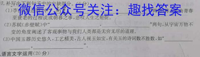 陕西省2023年初中学业水平考试联考模拟卷A语文