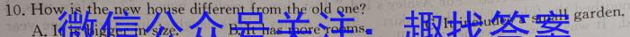 2023年陕西省初中学业水平考试·信息卷B英语试题