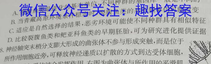 2023年安徽省中考冲刺卷(三)数学