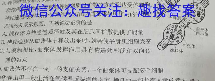 河南省2023年秋期八年级期终阶段性文化素质监测数学