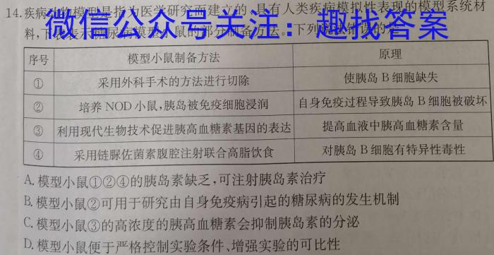 山东省2024届高三11月联考数学