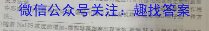 河南省2024年中考模拟试卷(三)数学