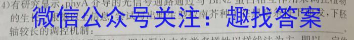 [广东二模]2024年普通高等学校招生全国统一考试模拟测试(二)数学