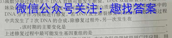 衡中同卷2024语数英第一次模拟联合检测数学