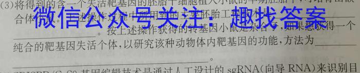 2024年河南省普通高中招生考试试卷终极猜押卷数学