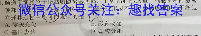 2023年普通高等学校招生全国统一考试精品预测卷(三)数学