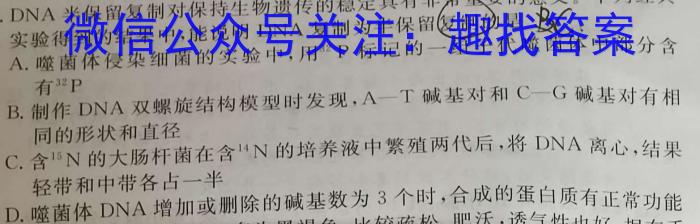 衡水金卷先享题信息卷 2024年普通高等学校招生全国统一考试模拟试题(四)数学