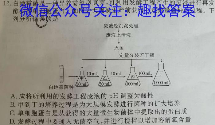 安徽省2023-2024学年八年级上学期综合素养评价（1月）数学