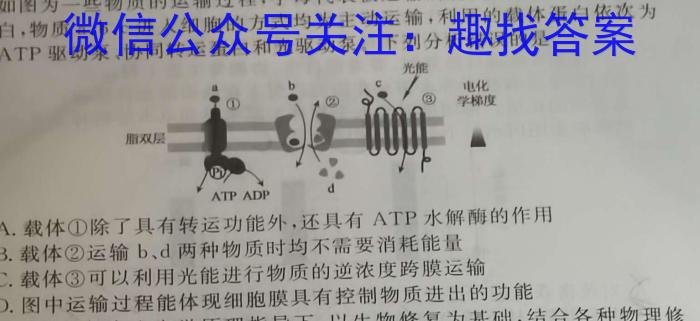 湘东九校高三年级2023年11月联考联评数学