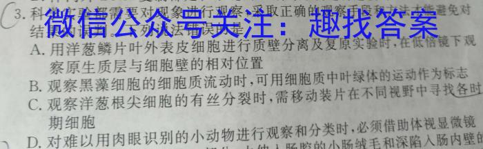 2023年合肥一中高三最后一卷数学