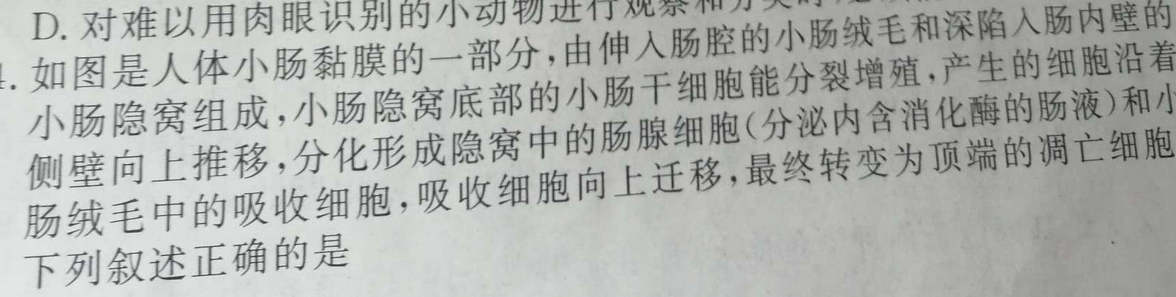 河南省焦作市普通高中2022-2023学年高一下学期期末考试生物