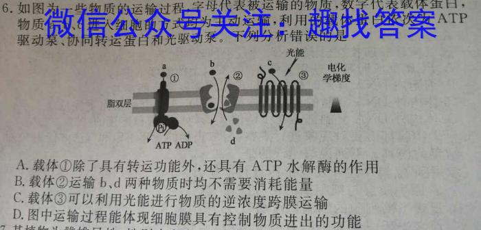 [国考1号6]第6套 2024届高三阶段性考试(三)数学