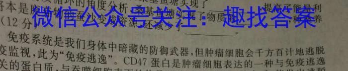 山西省临汾市2023-2024学年度第一学期初二素养形成第二次能力训练数学