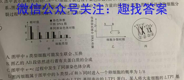 2024届重庆一中高考押题卷数学