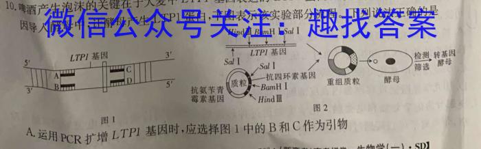 2023年12月湖南省高三年级名校联合考试数学