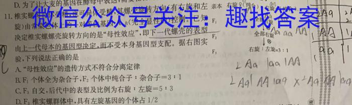 湖南省2024届高三一起考大联考(压轴一)数学