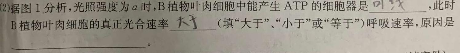 江西省2023年初中学业水平考试适应性试卷（三）数学考试