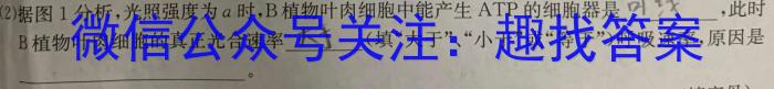 江西省2024届九年级11月考试（二）［11.28］数学