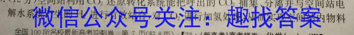 安徽省中考2023年精准预测卷化学
