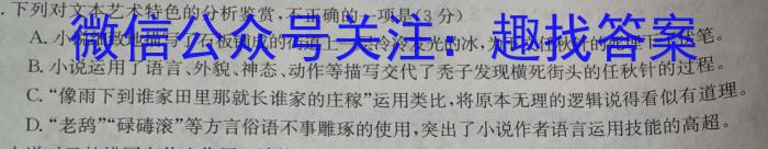 2023届全国百万联考老高考高三5月联考(6001C)语文