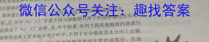 2025届广东省普通高中毕业班调研考试（一）数学