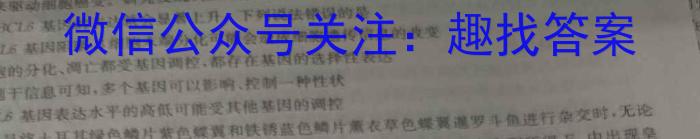 2024届衡水金卷先享题调研卷(福建专版)二数学