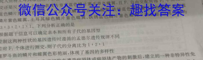 2024年河南省八年级中招导航模拟试卷(六)6数学