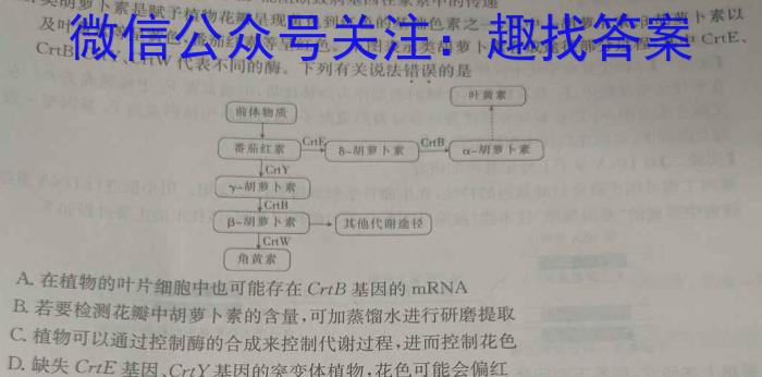 百师联盟2024年广东省中考冲刺卷(二)数学