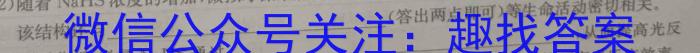 安徽省2024届九年级中考规范总复习（二）数学