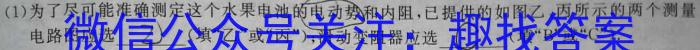 安徽省2023年中考适应性检测（二）h物理