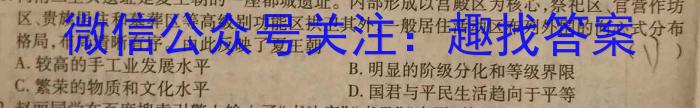 1号卷·2023年A10联盟高二年级(2021级)下学期期末考试历史